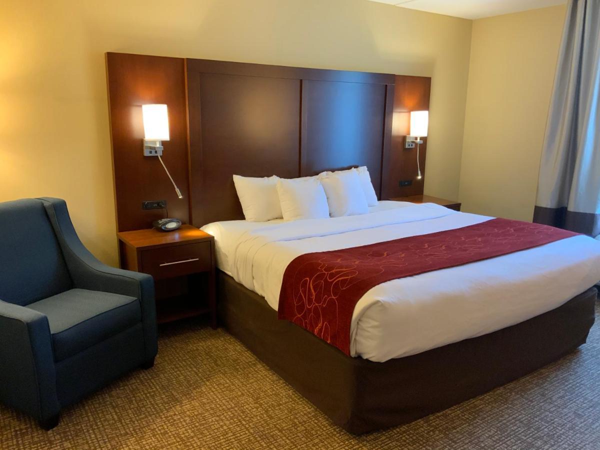 Comfort Suites Fredericksburg North Ngoại thất bức ảnh